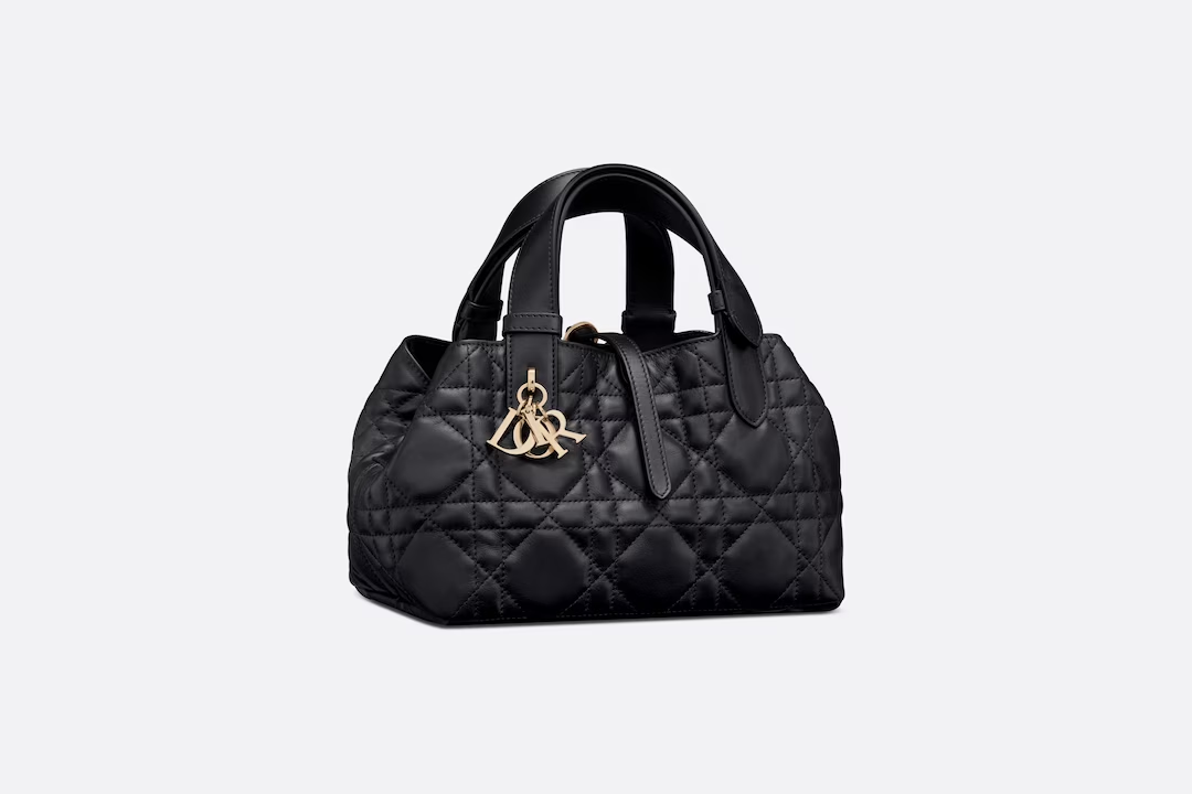 SMALL DIOR TOUJOURS BAG